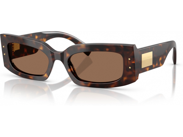 Dolce & Gabbana DG4479 502/73 Tortoise