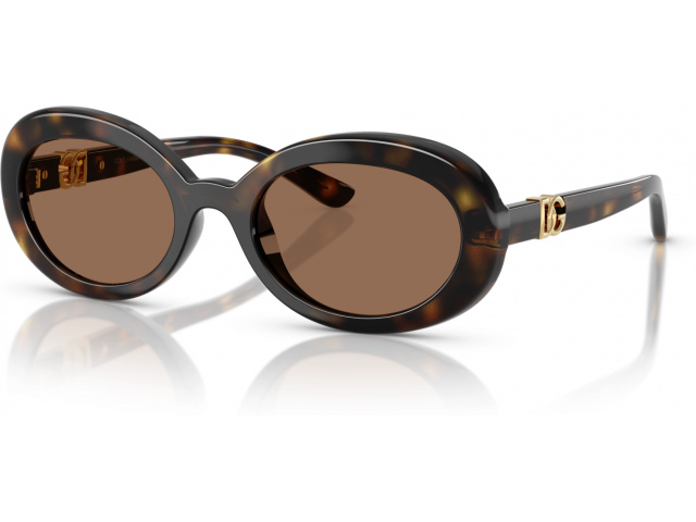 Dolce & Gabbana DX6007U 502/73 Tortoise