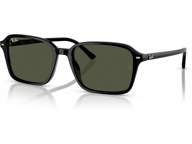 Ray-Ban RAIMOND RB2231 901/31 Black