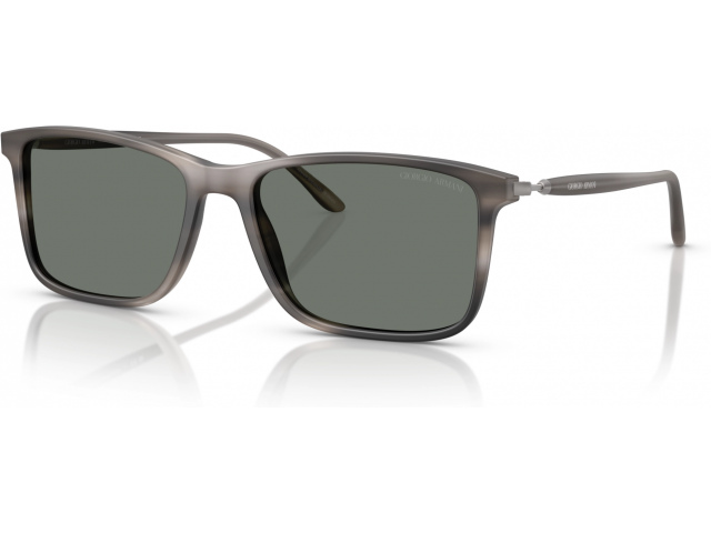 Giorgio Armani AR8218 616611 Grey