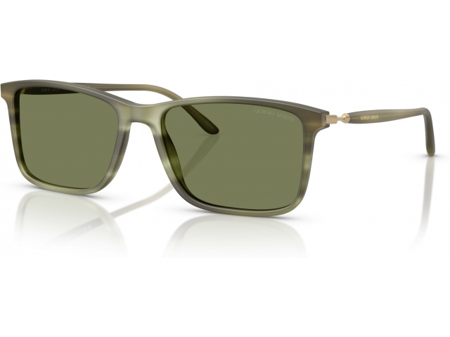 Giorgio Armani AR8218 61682A Tortoise