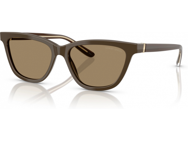 Giorgio Armani AR8221 595753 Brown