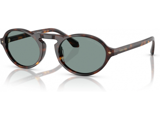 Giorgio Armani AR8219U 587956 Tortoise