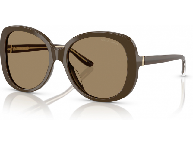 Giorgio Armani AR8229U 595753 Brown