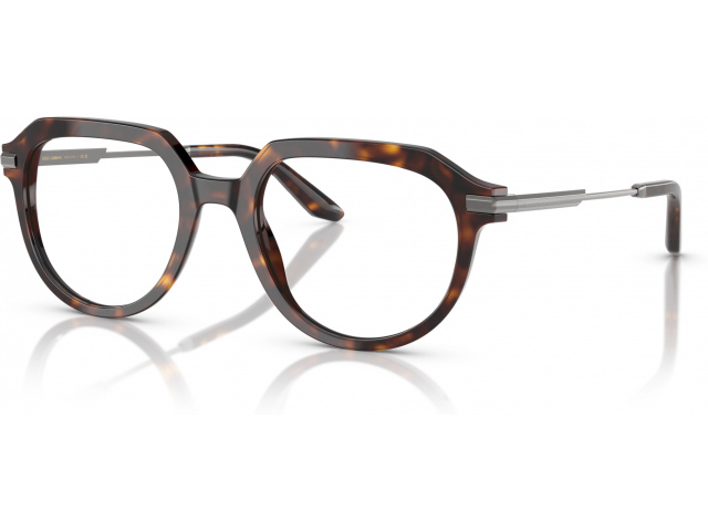 Dolce & Gabbana DG3402 502 Tortoise