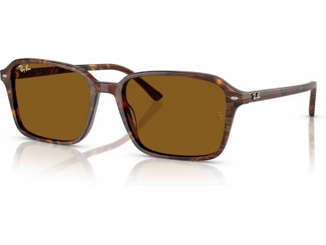 Ray-Ban RAIMOND RB2231 141833 Multicolor