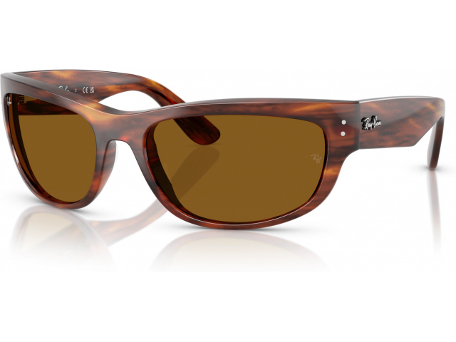 Ray-Ban MEGA BALORAMA RB2289 954/33 Brown