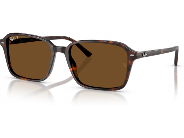 Ray-Ban RAIMOND RB2231 902/57 Tortoise