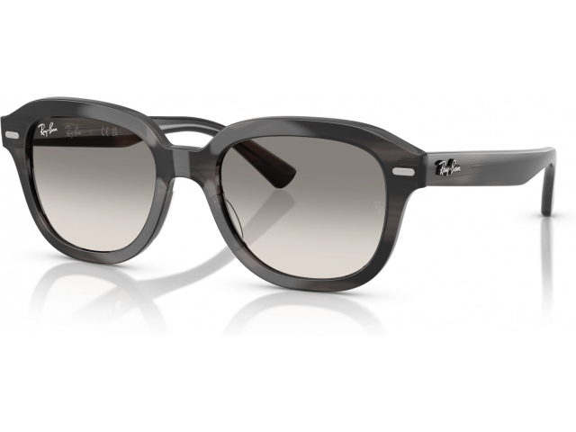 Ray-Ban ERIK RB4398 140432 Grey