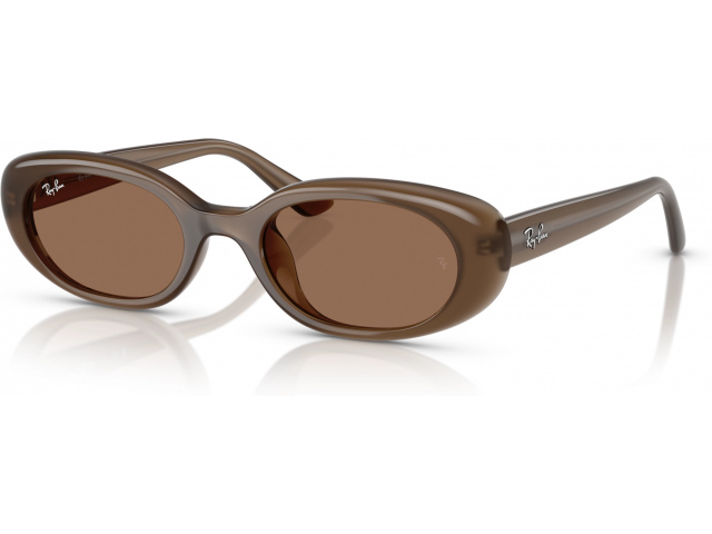 Ray-Ban RB4441D 677973 Brown