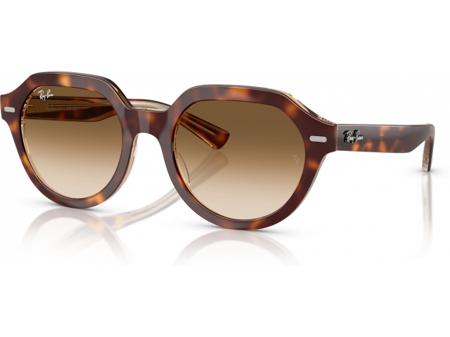 Ray-Ban GINA RB4399 141451 Tortoise