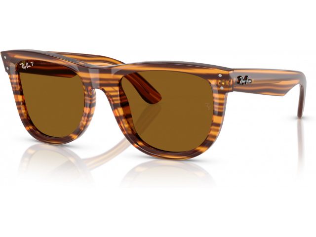 Ray-Ban WAYFARER REVERSE RBR0502S 679183 Brown