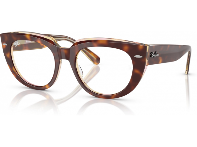 Ray-Ban DOREEN RX5586 8402 Tortoise