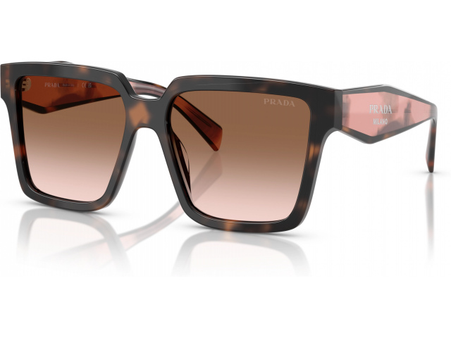 Prada PR 24ZS 23A0A6 Tortoise