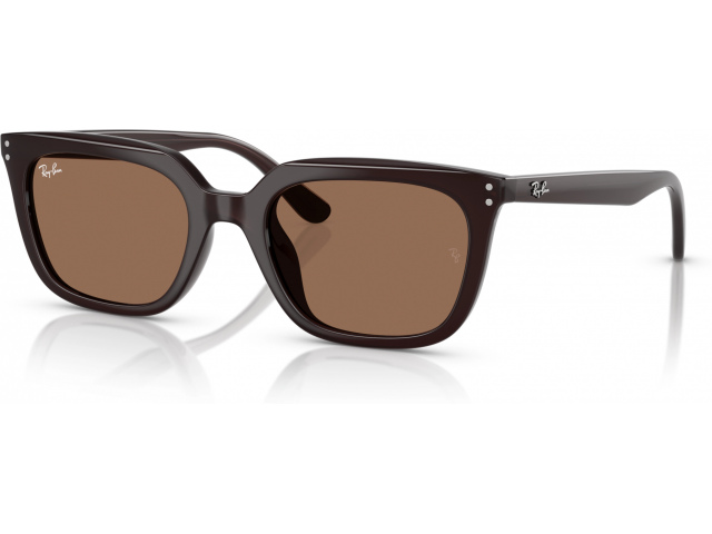 Ray-Ban RB4439D 623173 Brown