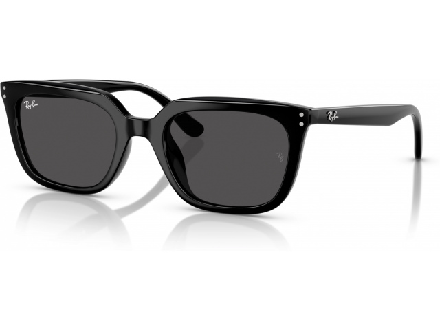 Ray-Ban RB4439D 901/87 Black