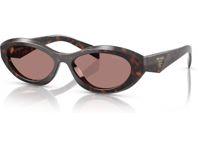 Prada PR 26ZS 17N60B Tortoise