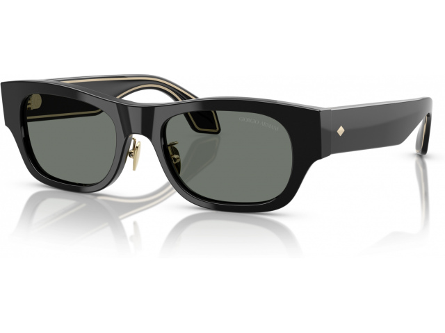 Giorgio Armani AR8224 500111 Black