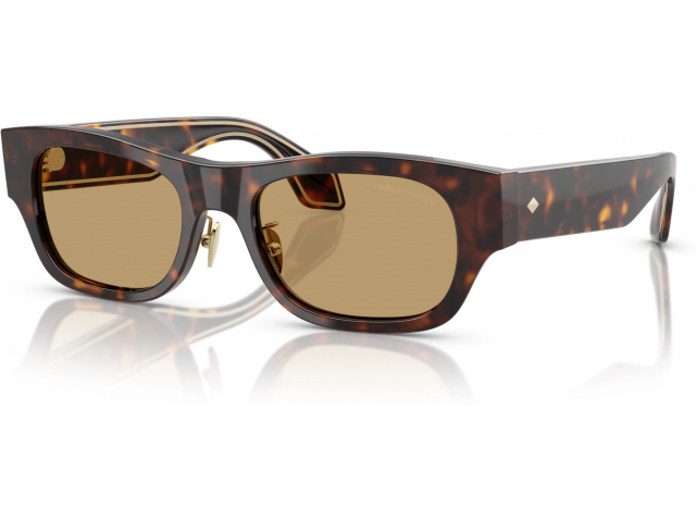 Giorgio Armani AR8224 502673 Tortoise