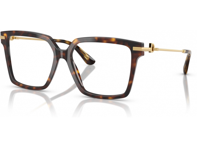 Dolce & Gabbana DG3397 502 Tortoise