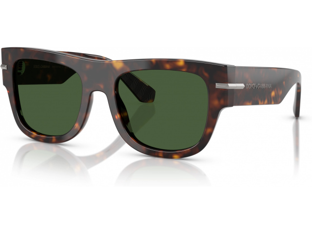Dolce & Gabbana DG4484 502/71 Tortoise