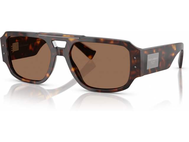 Dolce & Gabbana DG4482 502/73 Tortoise