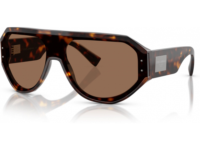 Dolce & Gabbana DG4481 502/73 Tortoise