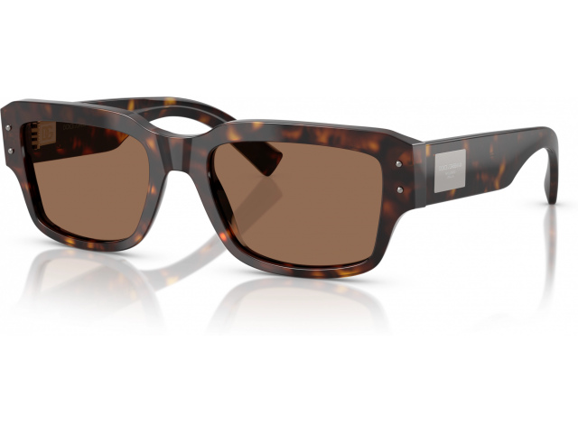 Dolce & Gabbana DG4483 502/73 Tortoise