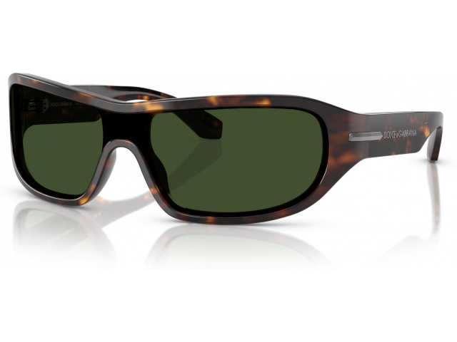 Dolce & Gabbana DG4486 502/71 Tortoise