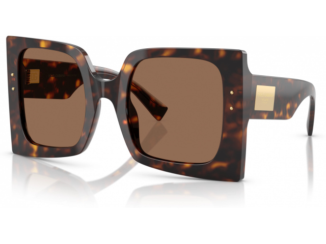 Dolce & Gabbana DG4490 502/73 Tortoise
