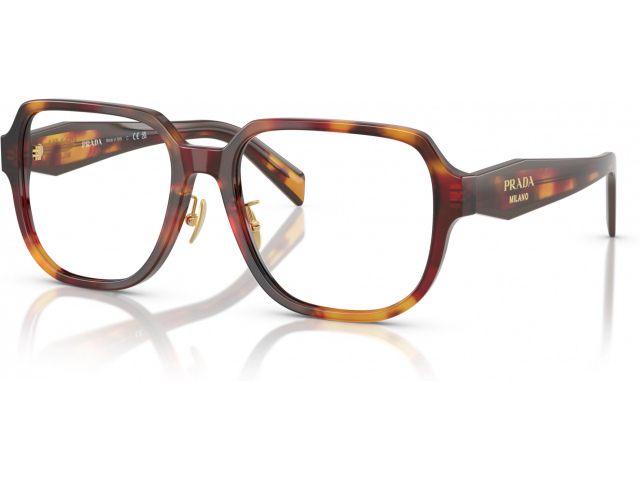 Prada PR B07VD 22A1O1 Tortoise