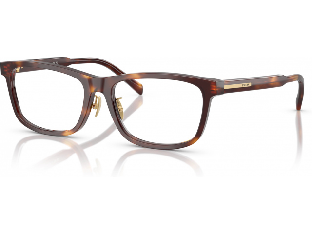 Prada PR B08VD 15W1O1 Tortoise