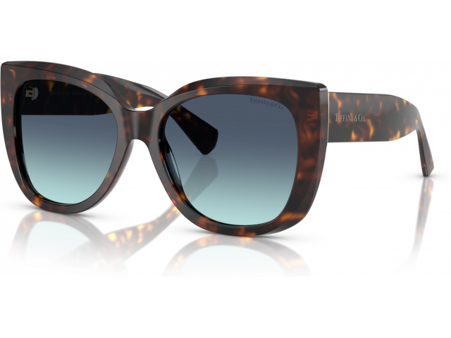 Tiffany TF4229 80159S Tortoise
