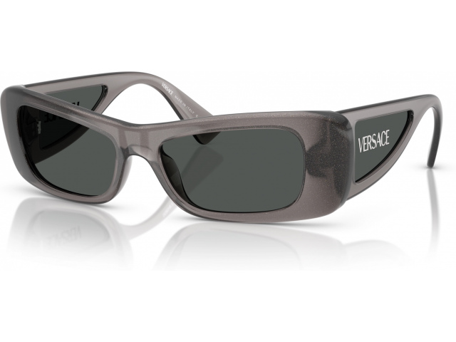 Versace VE4481 550287 Grey