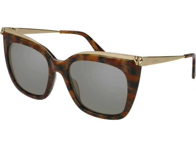 Cartier CT0030S-004 53  