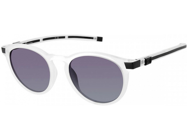 Champion Swift C03