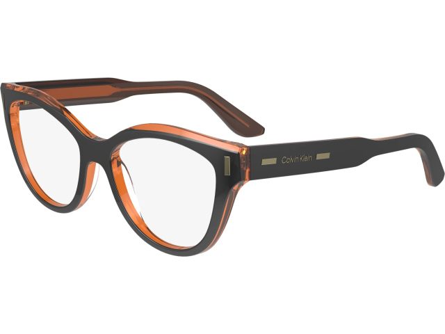 CALVIN KLEIN CK23541 8,  BLACK/BROWN, CLEAR