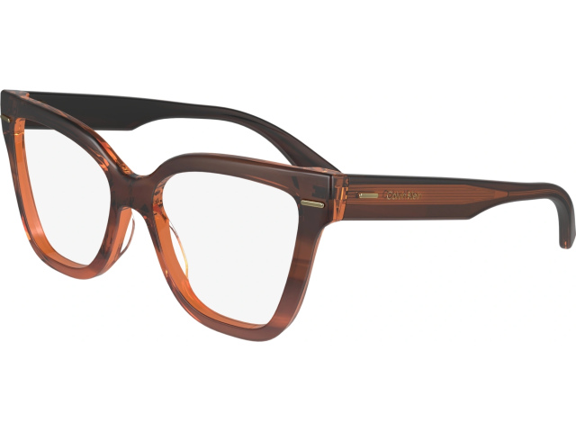 CALVIN KLEIN CK23543 240,  STRIPED BROWN, CLEAR
