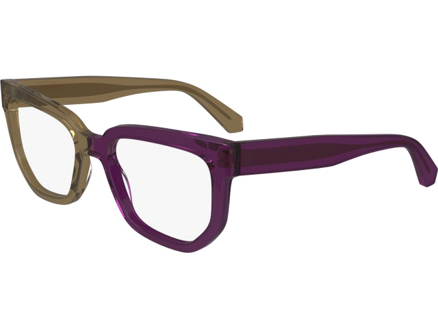 CALVIN KLEIN JEANS CKJ24615 208,  BROWN TO VIOLET, CLEAR