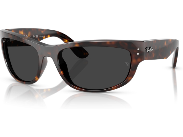 Ray-Ban MEGA BALORAMA RB2289 902/48 Tortoise
