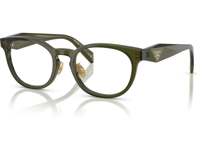 Prada PR B06VD 19Z1O1 Green