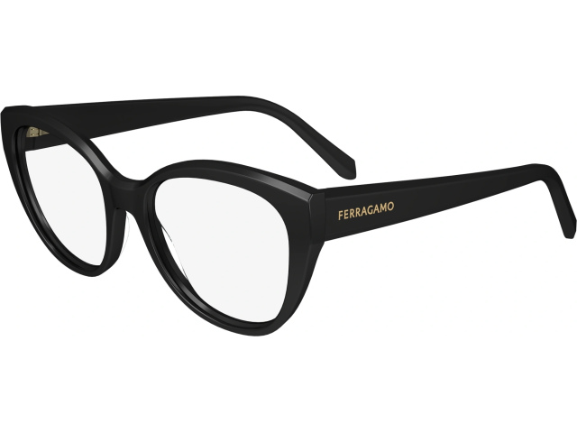 SALVATORE FERRAGAMO SF2970 1,  BLACK, CLEAR