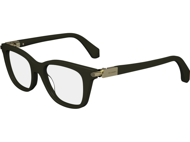 SALVATORE FERRAGAMO SF2973 302,  DARK GREEN, CLEAR