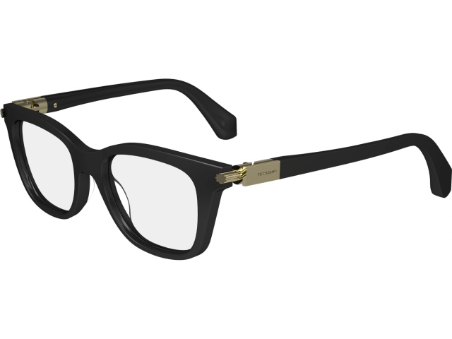 SALVATORE FERRAGAMO SF2973 1,  BLACK, CLEAR