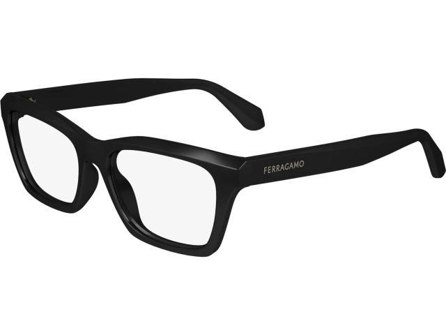 SALVATORE FERRAGAMO SF2986 1,  BLACK, CLEAR