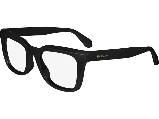 SALVATORE FERRAGAMO SF2990 1,  BLACK, CLEAR