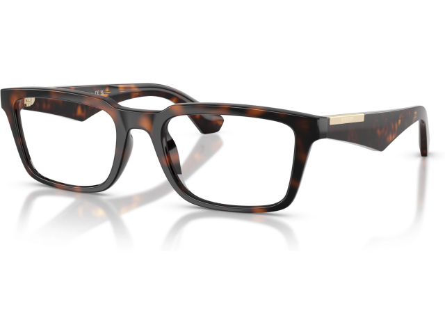 Burberry BE2428U 3002 Brown