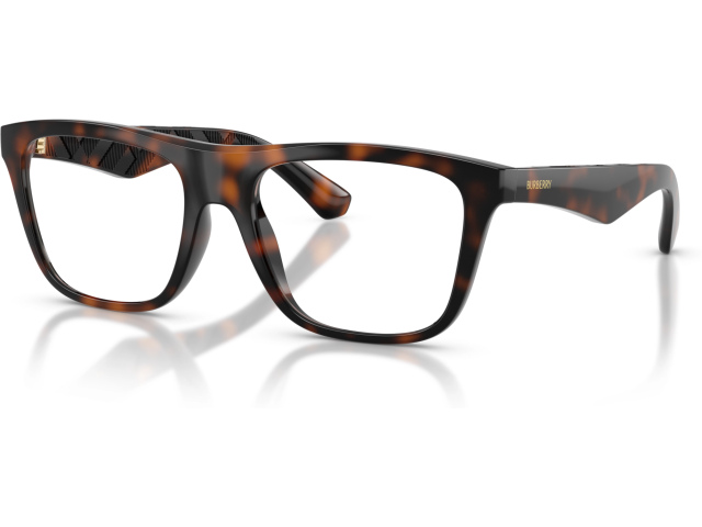 Burberry BE2432U 3002 Brown