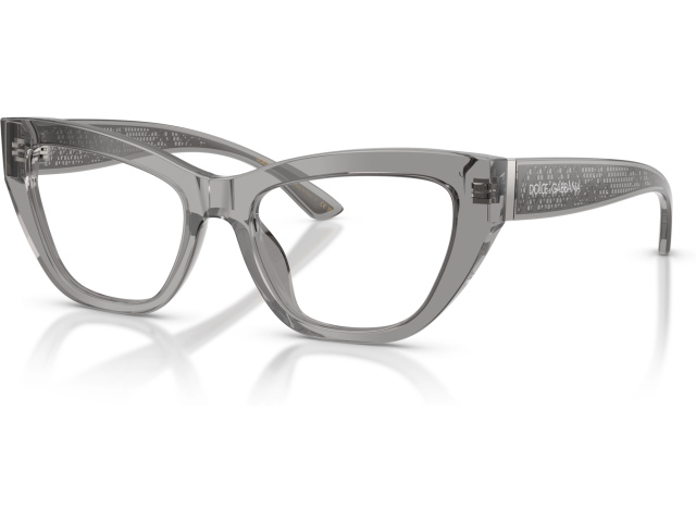 Dolce & Gabbana DG3412 3160 Grey