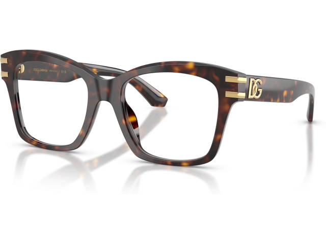 Dolce & Gabbana DG3419 502 Tortoise